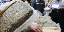 Kurir Seludupkan 2 Kg Ganja Ke Lapas Bintan 